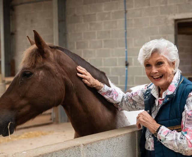 Angela Rippon's advert with Mare and Foal Sanctuary