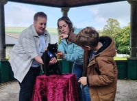 Polo the cat's community fundraiser