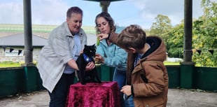 Polo the cat's community fundraiser