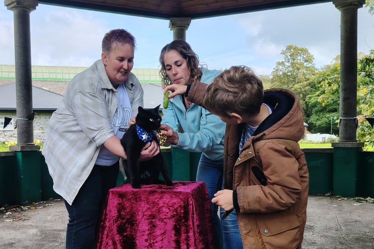 Tavistock's celebrity cat Polo at his crowning as honorary 'catizen' of the town at the Meadows Park with owner Reese (nine) and mum Hayley Clarke (centre). Polo is wearing his award scarf while being assisted on his ceremonial plinth by publicist Jen Horne.