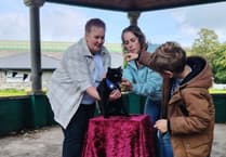 Tavistock celebrity cat Polo's charity appeal