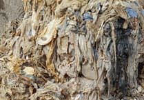 West Devon residents asked to fight the 'fatbergs' infesting sewers