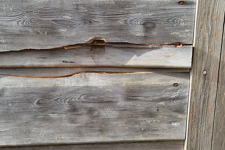 Vandals struck at Tavistock Sensory Garden, scattering damaging the shed which houses the kitchen and store and throwing items around the inside.
