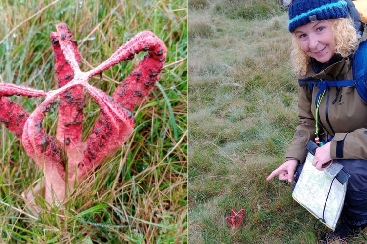 Becky Harrison with the Devil's Fingers fungi near Princetown.