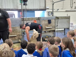 All things farming at major show for children