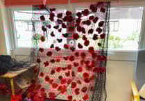 Over 400 poppies knitted by Okehampton group for Remembrance Day display