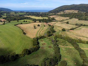 More green space in Torridge and Tavistock than English average