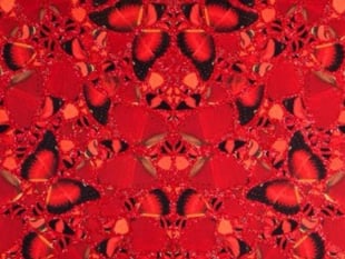 Print of Hirst artwork up for grabs in raffle