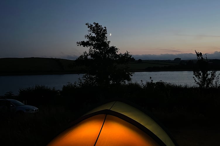 1ST Will Hoar, Siblyback.