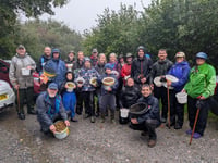 Moor Trees' record seed harvest