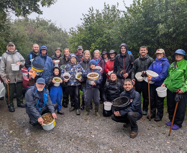 Moor Trees' record seed harvest