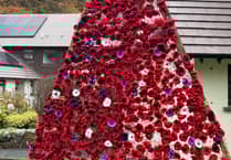 Knitted poppy display unveiled at retirement complex