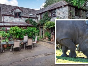 Rhino zoo approved despite sale delay