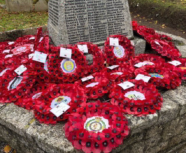 Remembrance Sunday attracts crowd despite rain