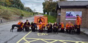 Cats and dogs home winter appeal 