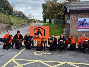 Cats and dogs home winter appeal 