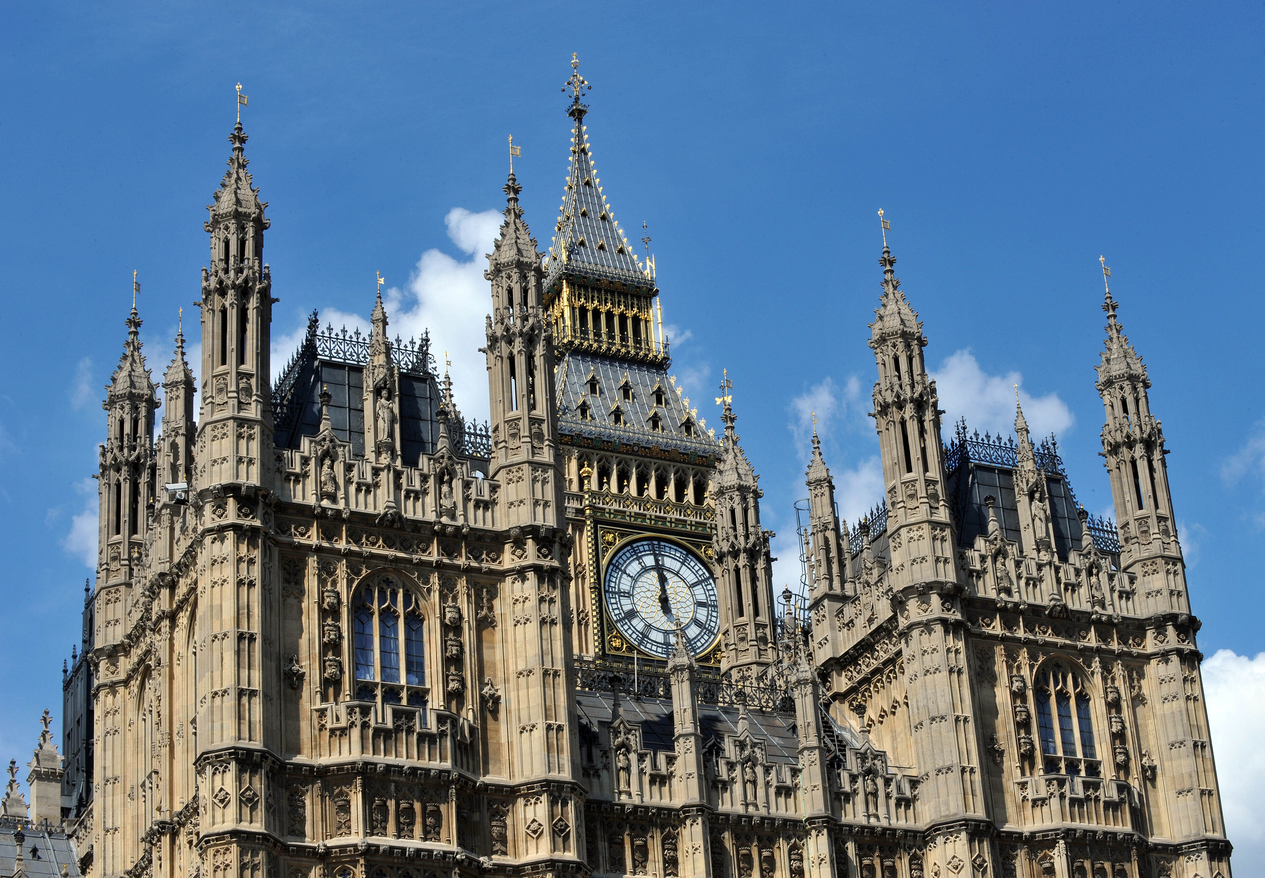 Torridge and Tavistock's top petitions this week