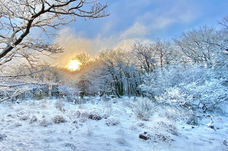 The sun rising over the Dartmoor snow. Photo: Mark Shackleton.