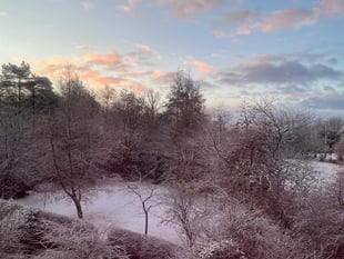 Snow and ice hits schools in West Devon today