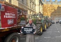 Tavistock MP lobbies for action over bluetongue