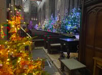 WATCH this aerial view of Tavistock Christmas Tree Festival 