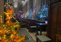 WATCH this aerial view of Tavistock Christmas Tree Festival