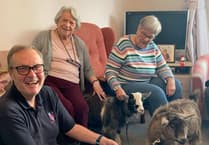 Cheeky pygmy goats delight Tavistock residents