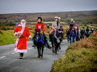 Friends of the Dartmoor Hill Pony to ride out on charity hack