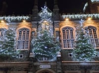 Trees of Light switched on