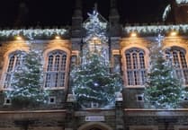 Trees of Light switched on in Tavistock