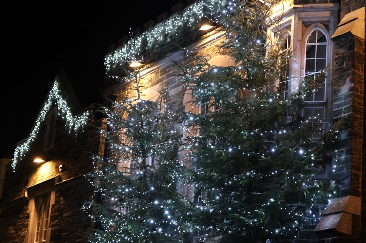 Tavistock Lions Trees of Light. Chris Cotterell