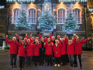 Trees of Light switched on