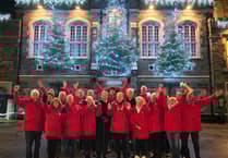 Trees of Light switched on in Tavistock