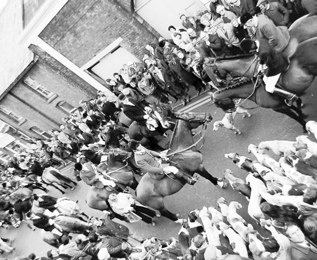 Council declares hunt meets unwelcome
