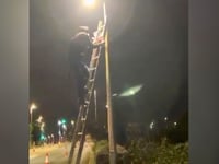 Man spoken to amid flag shenanigans as bid to recoup costs goes on