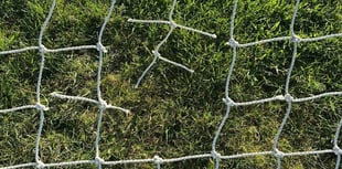 Appeal after football goal nets cut
