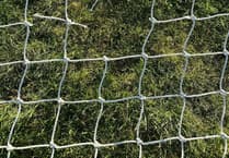 Appeal after football goal nets cut