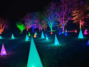 Famous RHS garden light show entrances