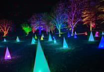 Famous RHS Rosemoor garden light show entrances