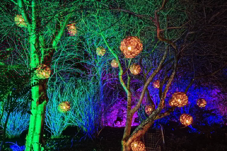 Famous RHS Rosemoor garden light show entrances