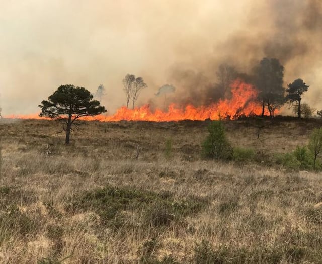 Moorland wildfires prompt warning