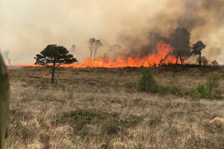 A wildfire out of control, Devon and Somerset Fire and Rescue Service