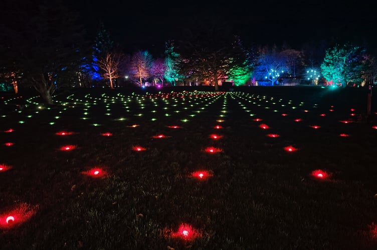 Famous RHS Rosemoor garden light show entrances