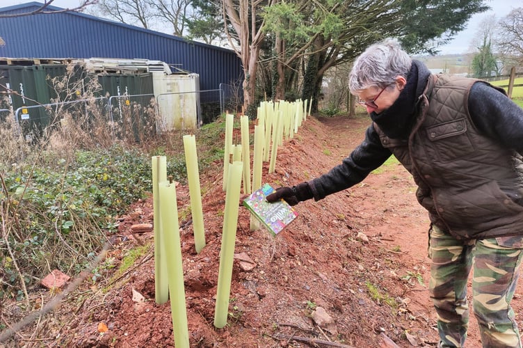 Volunteers came to plant wildflower seeds and build the new Devon hedge in the churchyard.