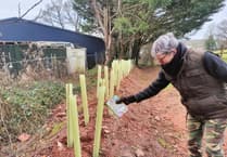 Hatherleigh residents boost wildlife in churchyard