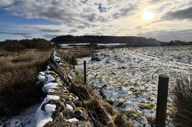 Frozen snowy landscape at Bellever Forest during cold snap. Sarah Pascall
