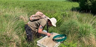 DNPA welcomes extension of farming scheme