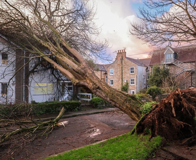 Storm Goretti sweeps through Devon