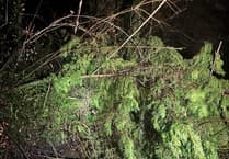 Devon preparing for icy conditions following Storm Goretti