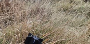 Walker finds unexploded missile on Willsworthy firing range